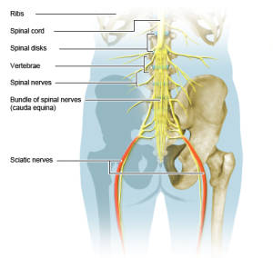 Sciatic Nerve Pain, Numbness, & Tingling Treatment - Sciatica Pain in Buttocks Relief